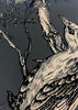 Golden Oriole Superwide Wallcovering Black