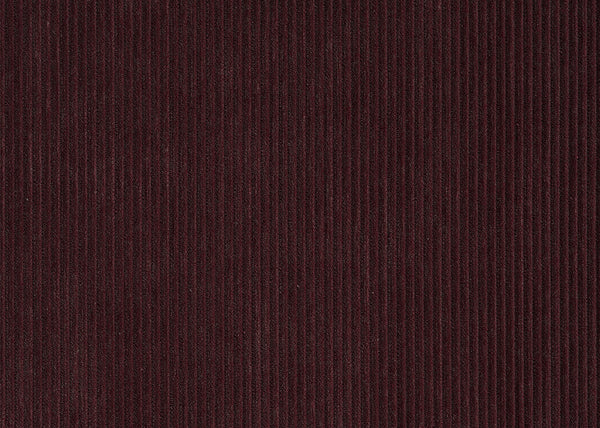 Carnegie Casanova 6