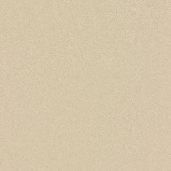 Carnegie Siltech Press 113