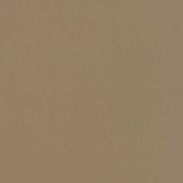 Siltech Press Fabric - Color 119 | Carnegie