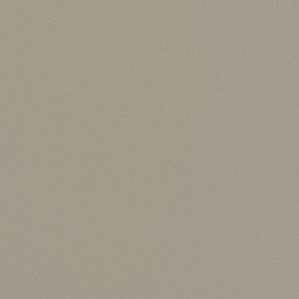 Siltech Press Fabric - Color 133 | Carnegie
