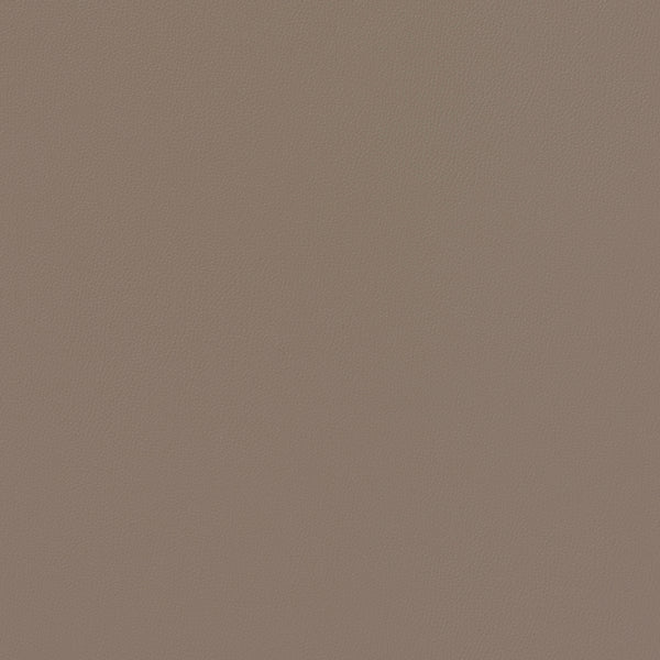 Siltech Press Fabric - Color 134 | Carnegie