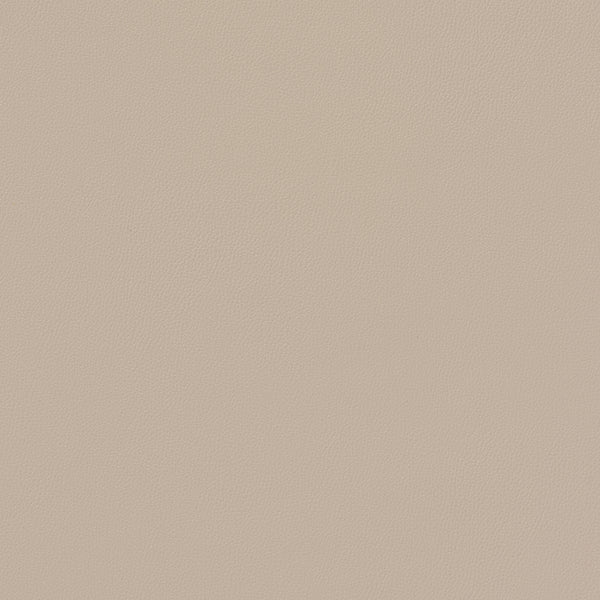 Carnegie Siltech Press 136