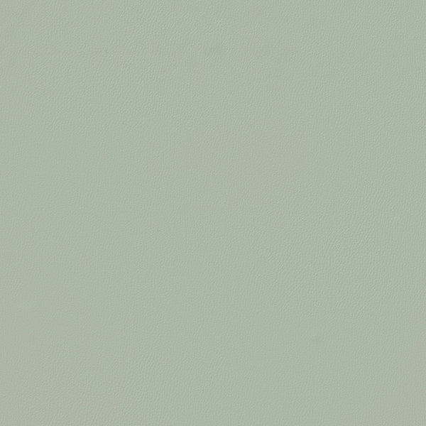 Siltech Press Fabric - Color 164 | Carnegie