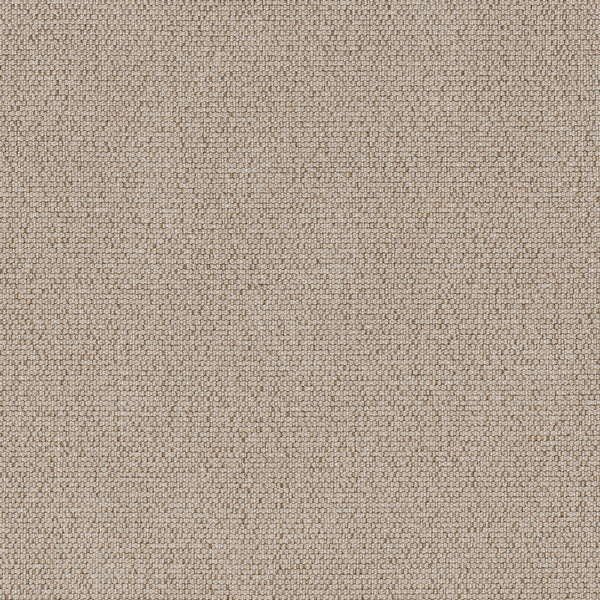 Article Fabric - Color 2 | Carnegie