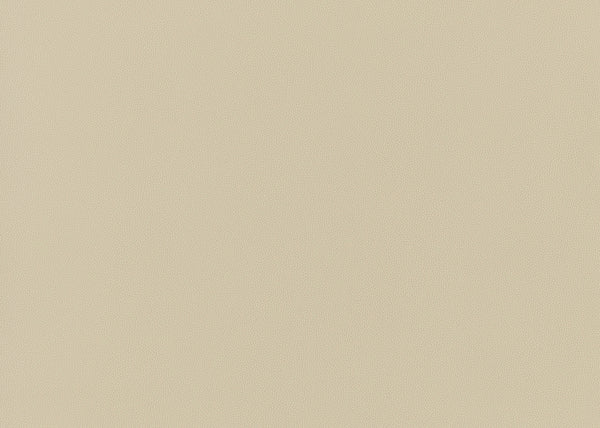 Precision Fabric - Color 2 | Carnegie