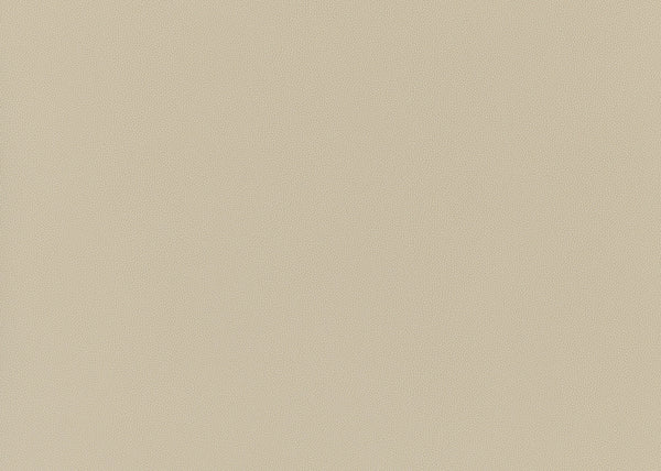 Precision Fabric - Color 3 | Carnegie