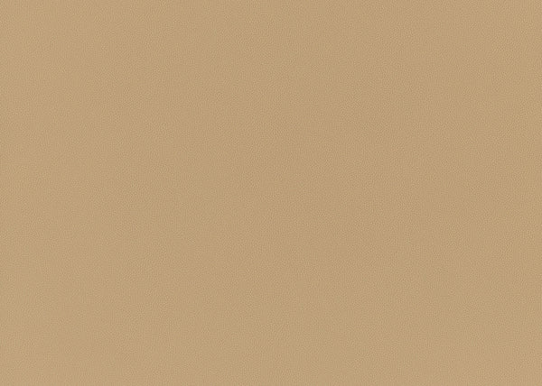 Precision Fabric - Color 4 | Carnegie