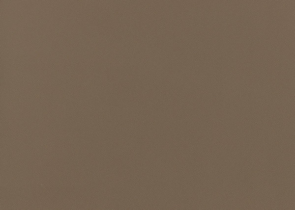 Precision Fabric - Color 5 | Carnegie