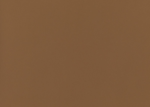 Precision Fabric - Color 6 | Carnegie