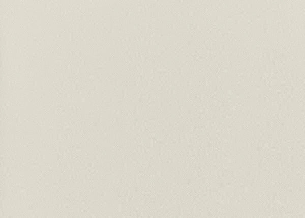 Precision Fabric - Color 9 | Carnegie
