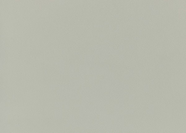 Precision Fabric - Color 10 | Carnegie