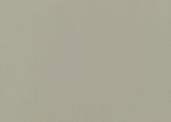 Precision Fabric - Color 11 | Carnegie
