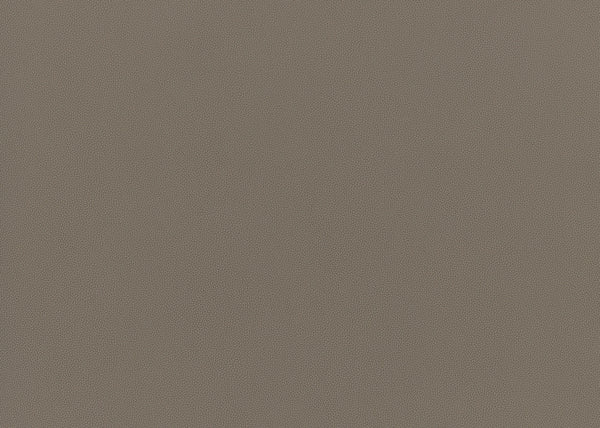 Precision Fabric - Color 13 | Carnegie
