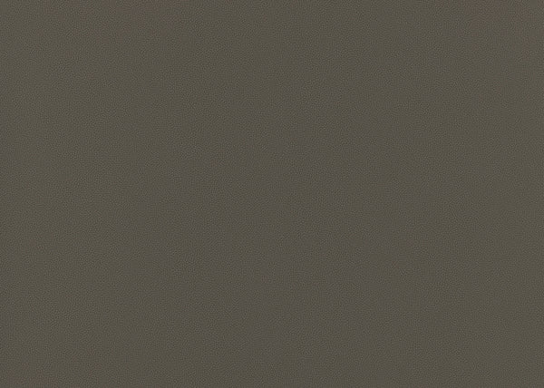 Precision Fabric - Color 14 | Carnegie