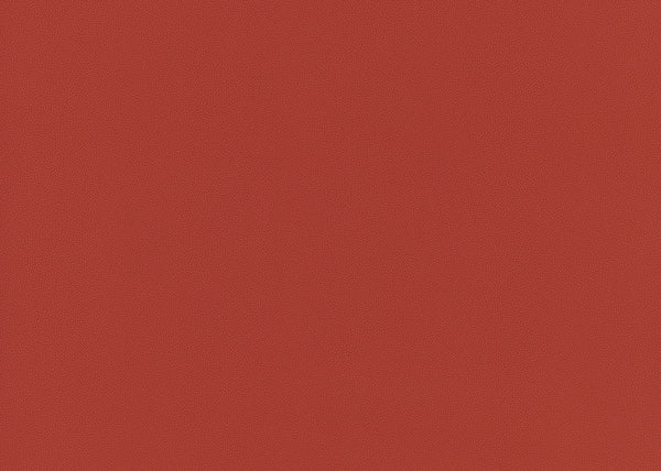 Precision Fabric - Color 18 | Carnegie