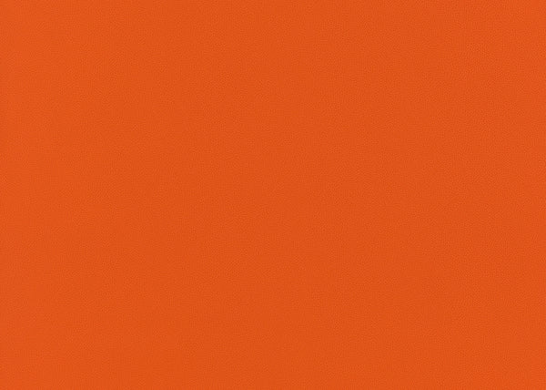 Precision Fabric - Color 19 | Carnegie