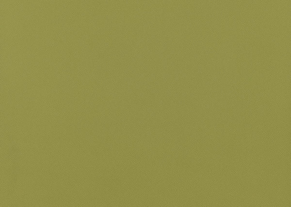 Precision Fabric - Color 21 | Carnegie
