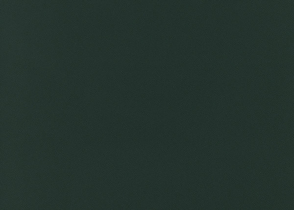 Precision Fabric - Color 22 | Carnegie