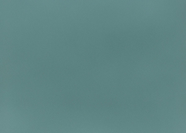 Precision Fabric - Color 23 | Carnegie