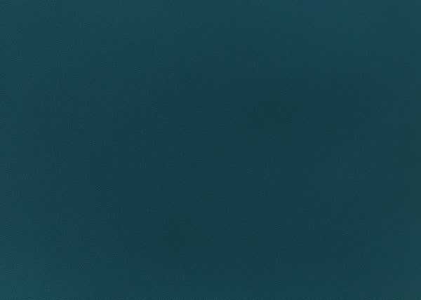Precision Fabric - Color 24 | Carnegie