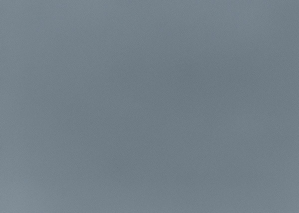 Precision Fabric - Color 25 | Carnegie