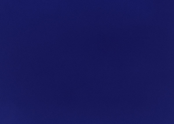 Precision Fabric - Color 28 | Carnegie