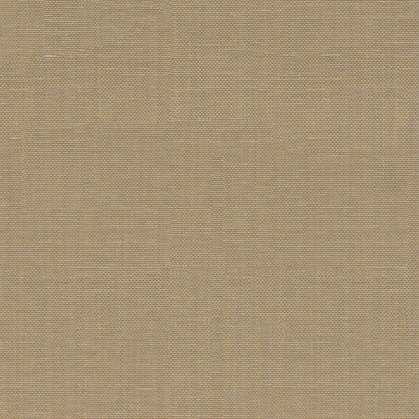 Xorel Strie Fabric - Color 823 | Carnegie