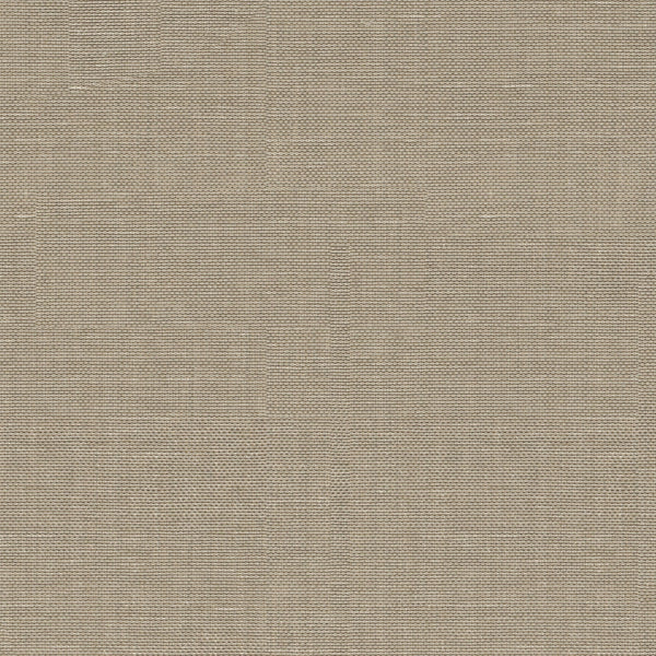 Xorel Strie Fabric - Color 830 | Carnegie