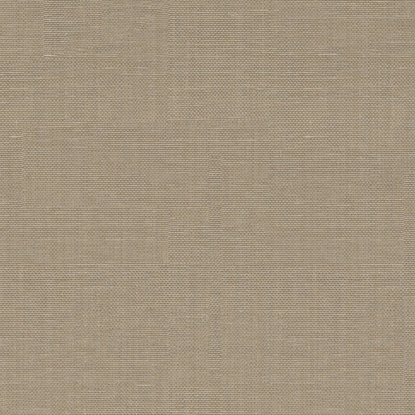 Xorel Strie Fabric - Color 835 | Carnegie
