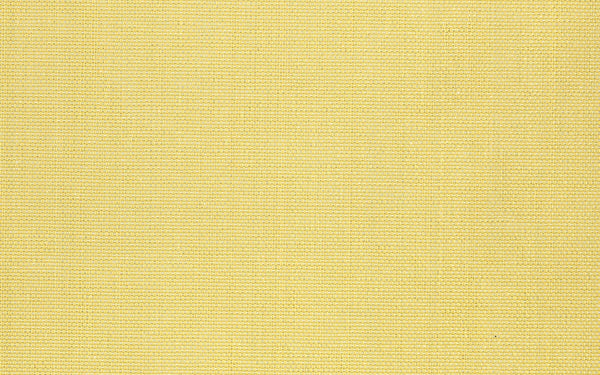 Xorel Meteor Wallcovering - Color 2006 | Carnegie