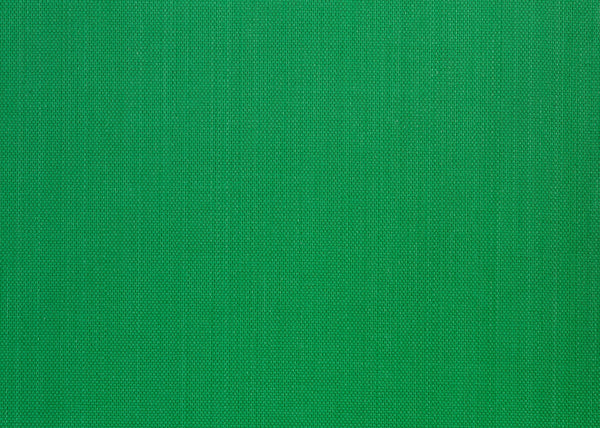 Xorel Meteor Fabric - Color 2010 | Carnegie