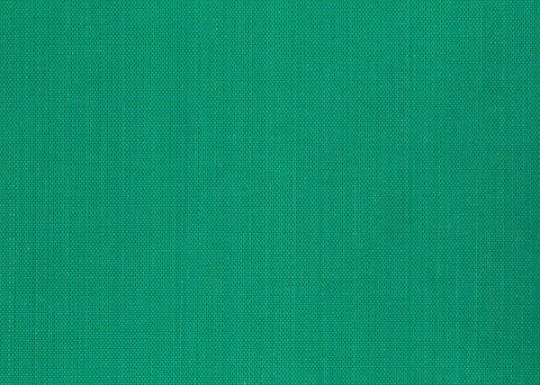 Xorel Meteor Fabric - Color 2013 | Carnegie