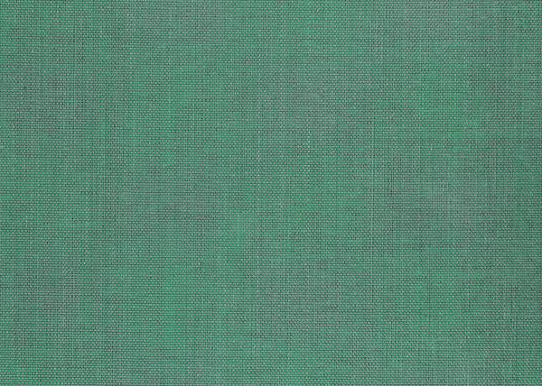Xorel Meteor Fabric - Color 2014 | Carnegie