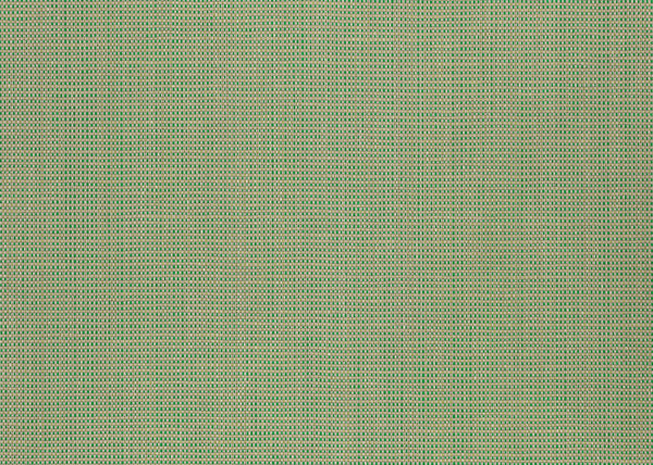 Xorel Meteor Fabric - Color 2015 | Carnegie