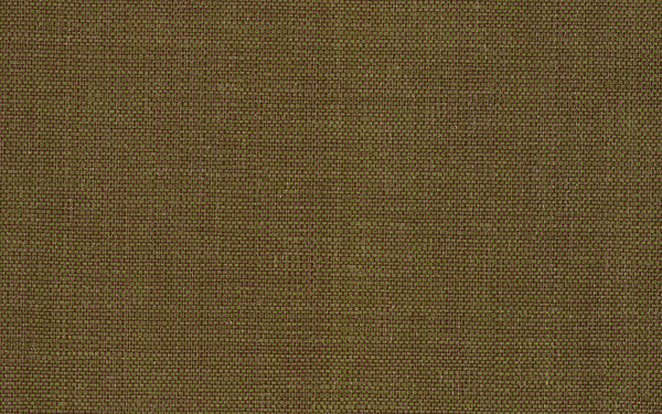 Xorel Meteor Fabric - Color 2016 | Carnegie