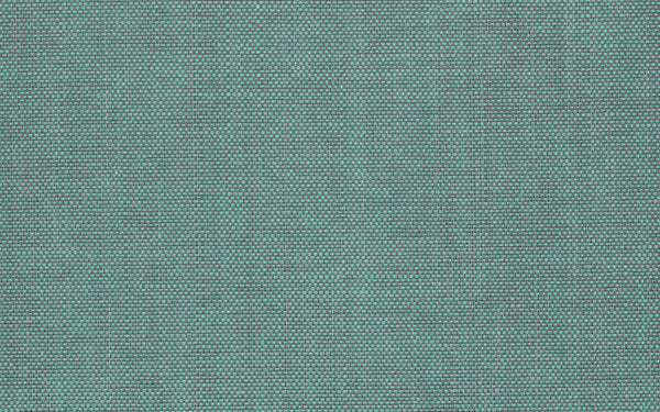 Xorel Meteor Wallcovering - Color 2019 | Carnegie