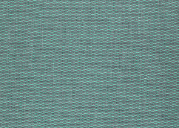 Xorel Meteor Fabric - Color 2019 | Carnegie