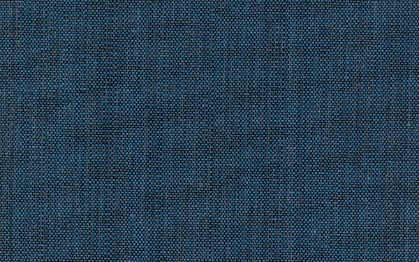 Xorel Meteor Wallcovering - Color 2024 | Carnegie