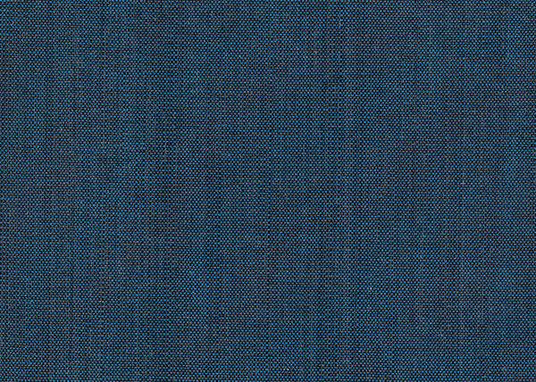 Xorel Meteor Fabric - Color 2024 | Carnegie