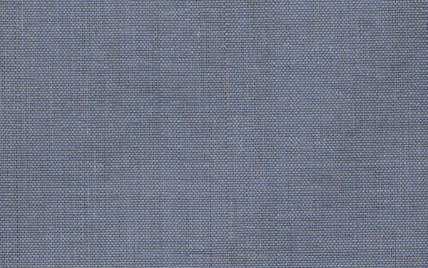 Xorel Meteor Fabric - Color 2025 | Carnegie