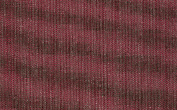 Xorel Meteor Fabric - Color 2038 | Carnegie
