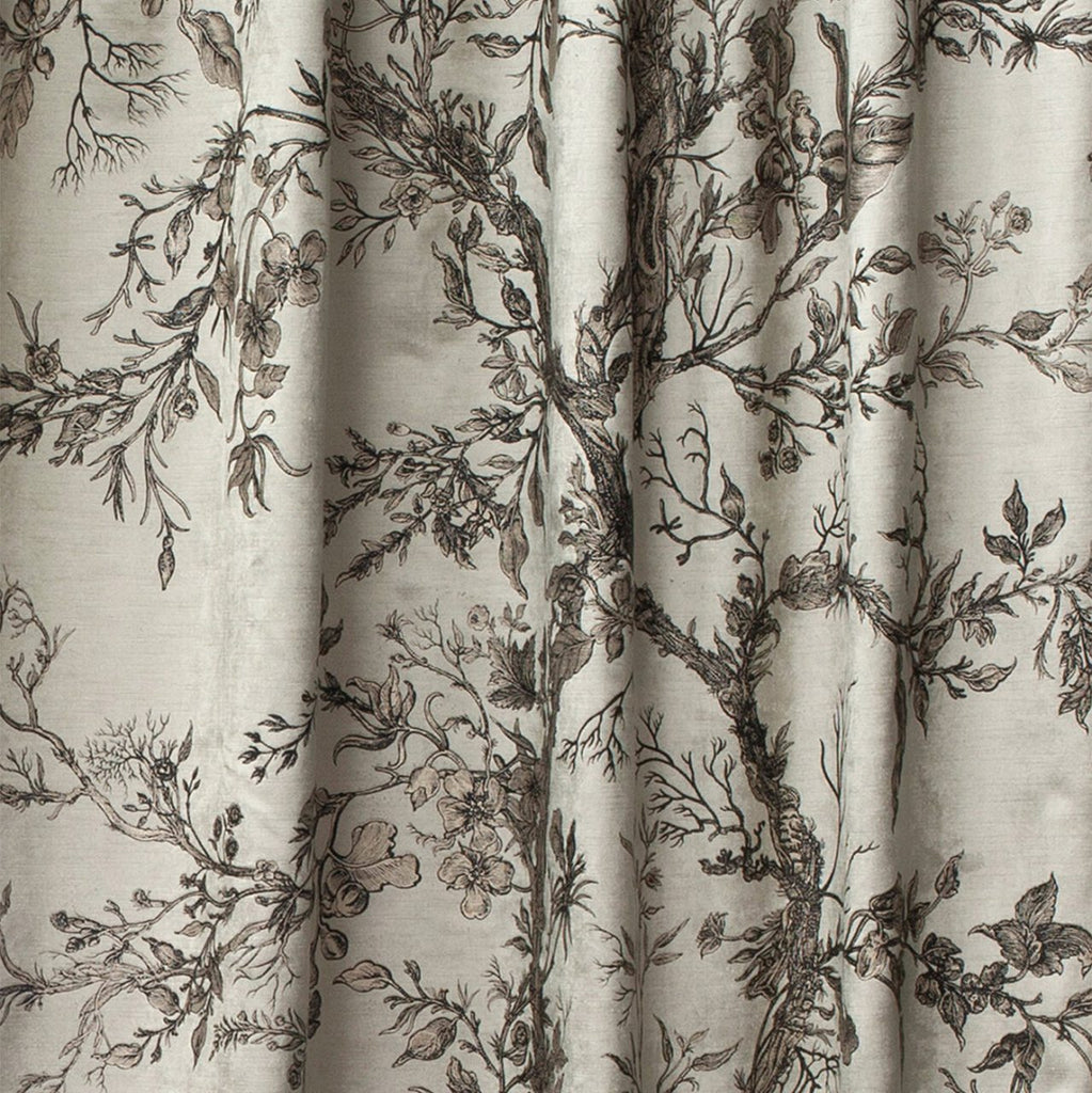 Golden Oriole Velvet Black & Gold on Beige