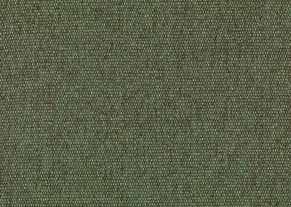 Carnegie Constant 46