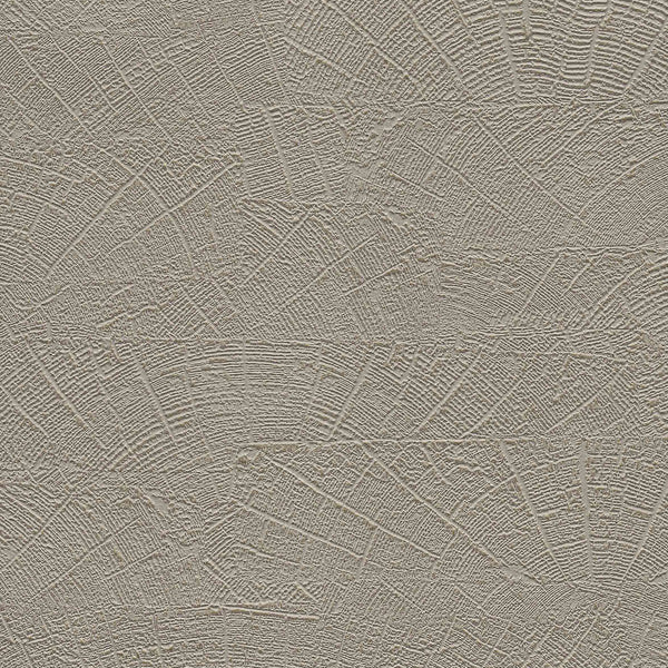 Samples and Purchasing available for Gravel Path - Flax Beige By Kravet Design | Performance Trim Indoor/Outdoor |  Trim Indoor / Outdoor at Designer Wallcoverings and Fabrics