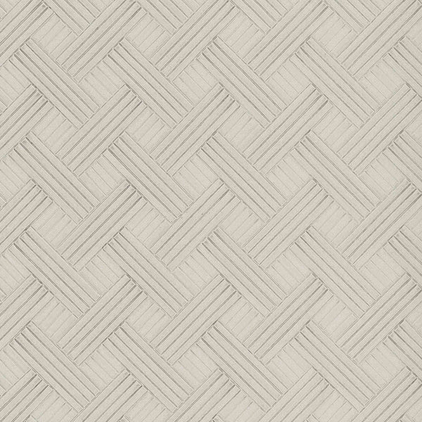 Samples and Purchasing available for Gravel Path - Flax Beige By Kravet Design | Performance Trim Indoor/Outdoor |  Trim Indoor / Outdoor at Designer Wallcoverings and Fabrics