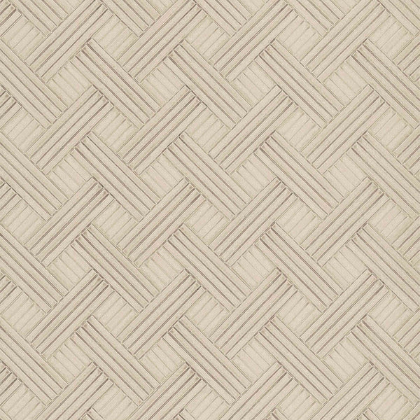 Samples and Purchasing available for Gravel Path - Flax Beige By Kravet Design | Performance Trim Indoor/Outdoor |  Trim Indoor / Outdoor at Designer Wallcoverings and Fabrics