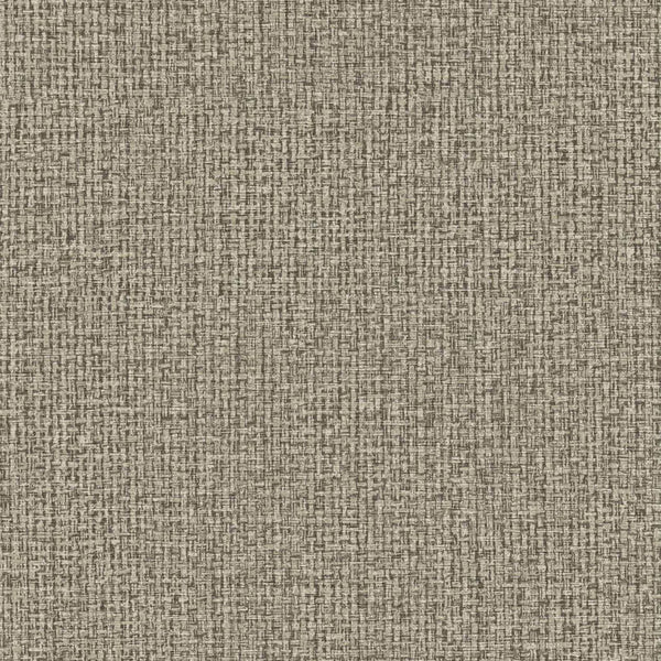 Samples and Purchasing available for Gravel Path - Flax Beige By Kravet Design | Performance Trim Indoor/Outdoor |  Trim Indoor / Outdoor at Designer Wallcoverings and Fabrics