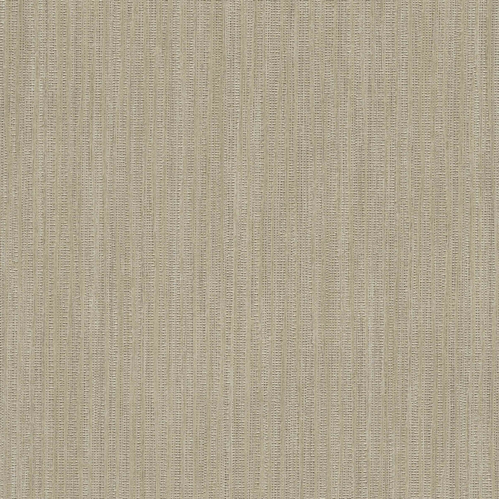 Samples and Purchasing available for Gravel Path - Flax Beige By Kravet Design | Performance Trim Indoor/Outdoor |  Trim Indoor / Outdoor at Designer Wallcoverings and Fabrics