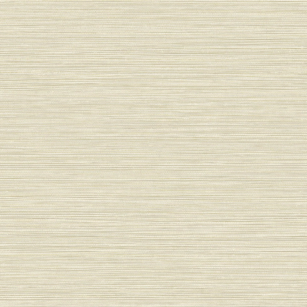 Samples and Purchasing available for Gravel Path - Flax Beige By Kravet Design | Performance Trim Indoor/Outdoor |  Trim Indoor / Outdoor at Designer Wallcoverings and Fabrics
